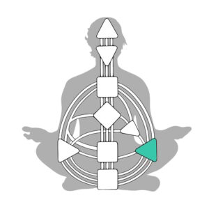 Workshop Human Design Dick Nicolai